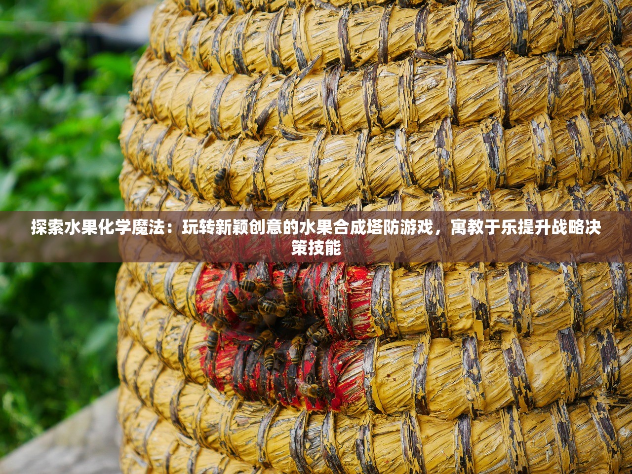 管家婆一码一肖最准一肖|前沿解答解释落实_VIP0.71