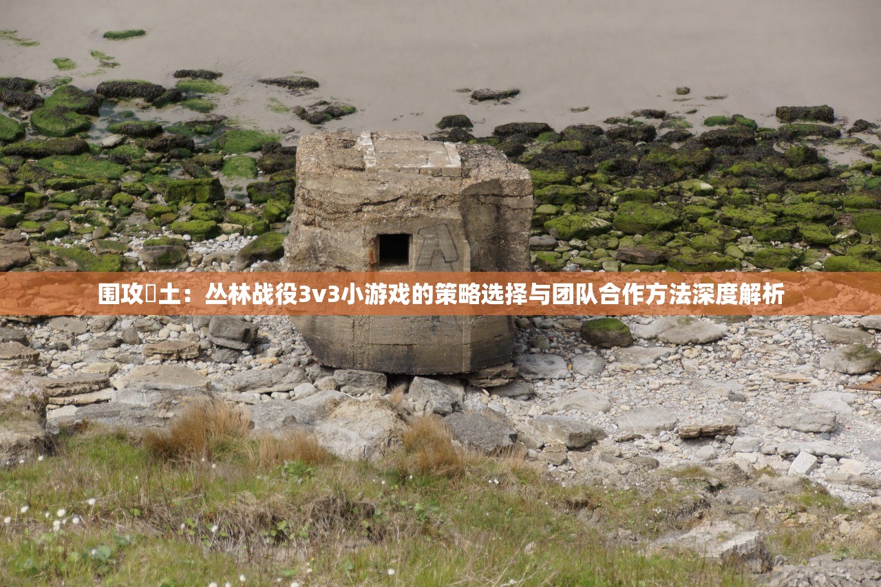 (阴阳师山兔大暴走阵容推荐)阴阳师山兔大暴走阵容攻略及常见问题解答