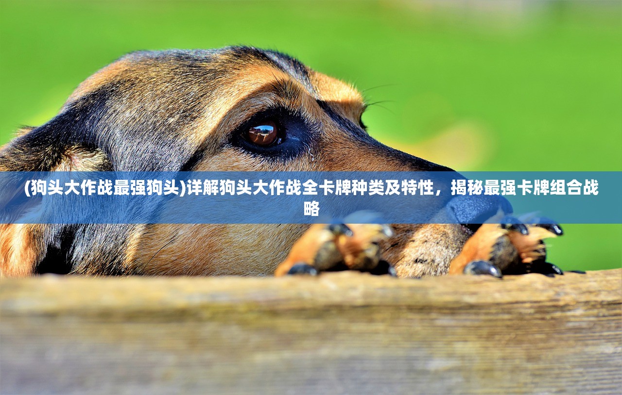 (轮回再启特性搭配)轮回再启，血统之争，哪个更强？