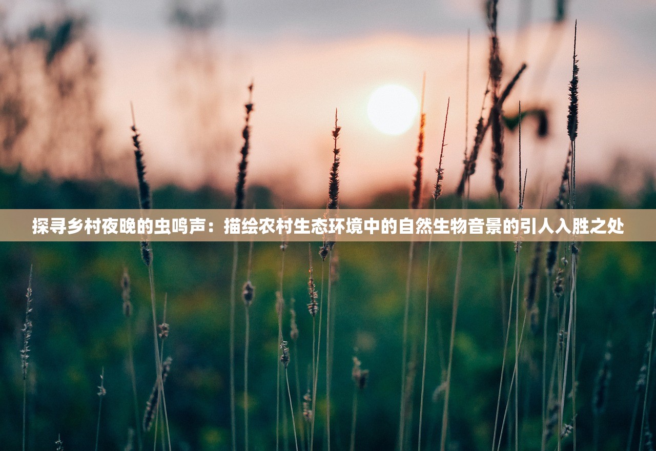 (螺旋圆舞曲蔷薇新娘)螺旋圆舞曲2蔷薇战争全面攻略,游戏指南与常见问题解答 (螺旋圆舞曲蔷薇新娘)螺旋圆舞曲2蔷薇战争全面攻略,游戏指南与常见问题解答