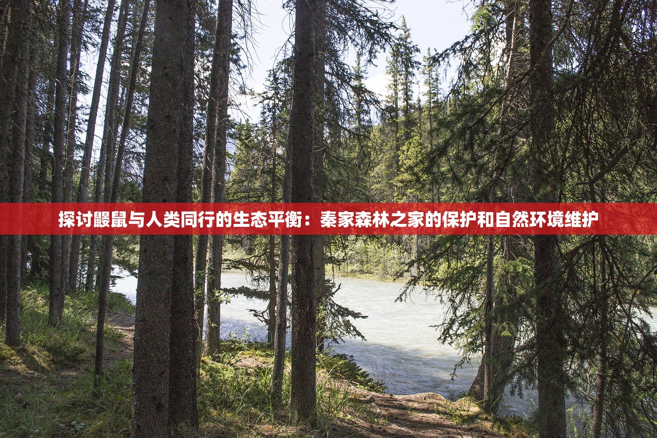 (跑酷游戏内购版)酷跑三国志内购版，深度解析与探索
