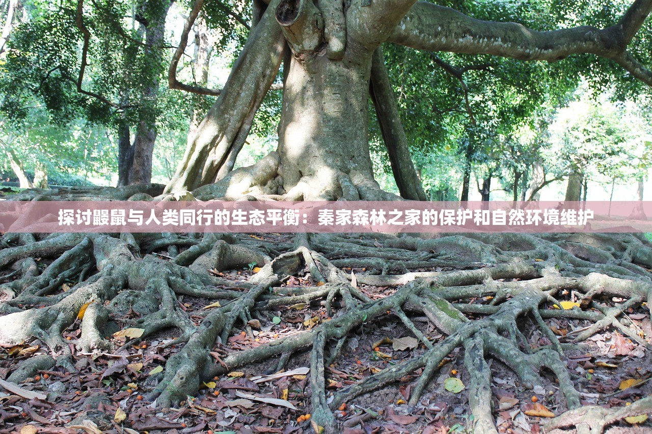 (神魔不灭体叶轻尘)神魔不灭体的奥秘与传承，探寻古老的修炼之道