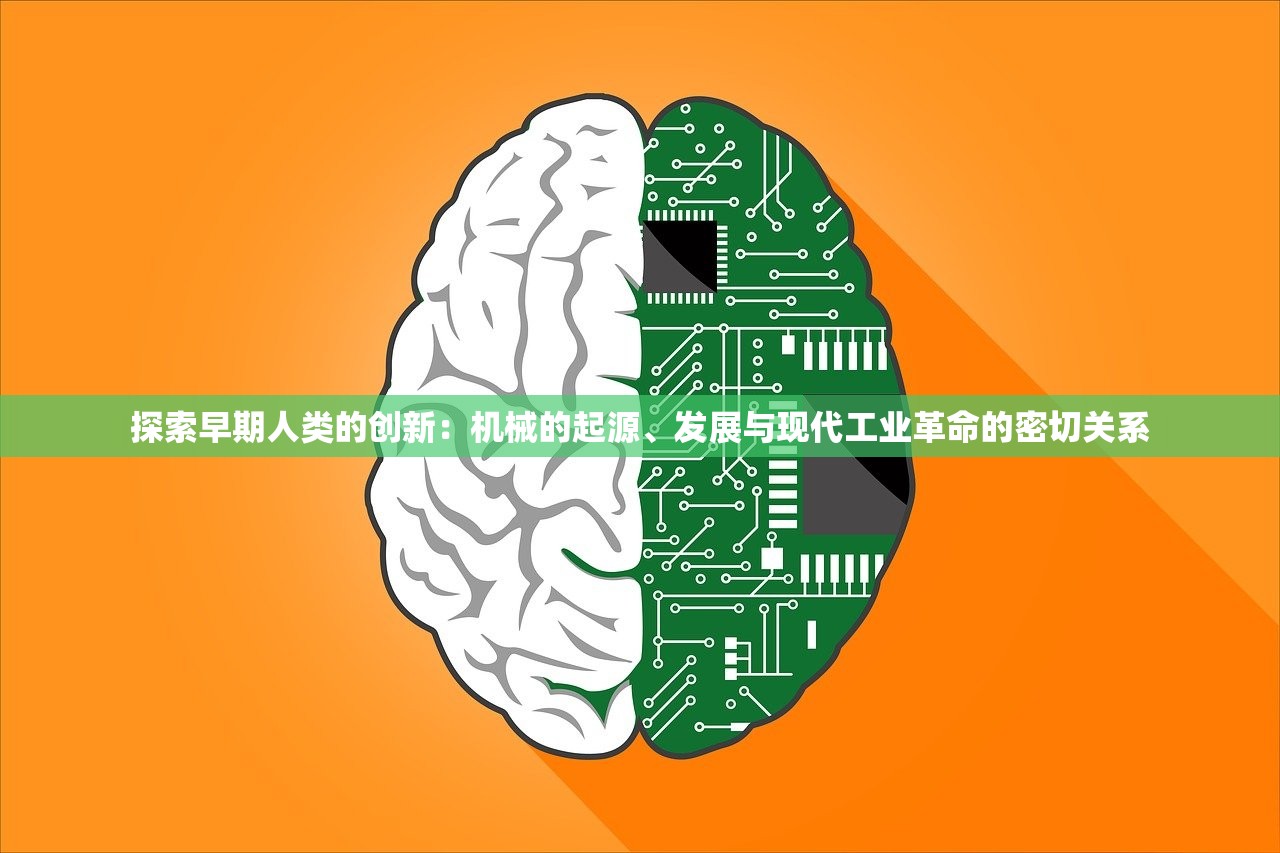 2024新奥马新免费资料|现状解答解释落实_本地款.0.873