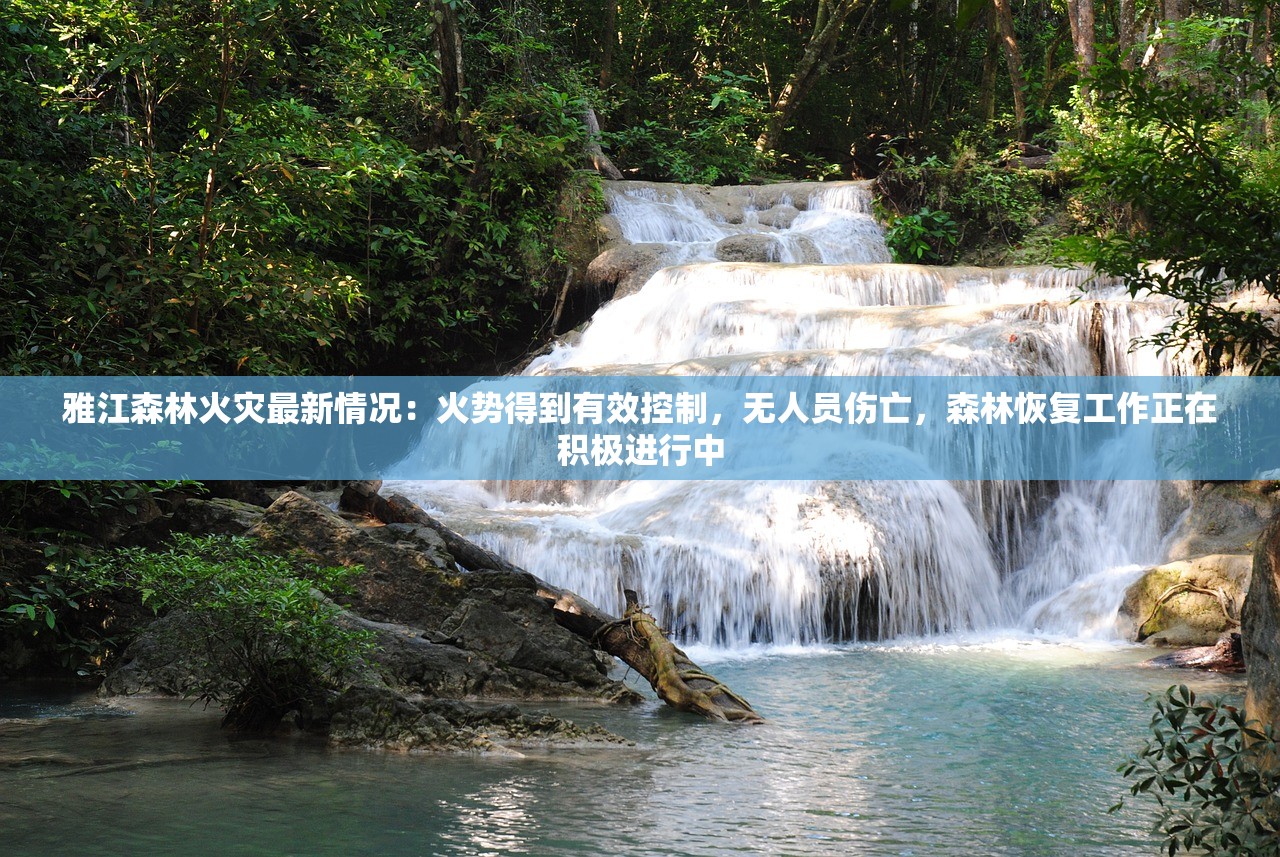 (风云之天下会火麟劲怎么练)风云之天下会火麟劲，热血江湖的崭新篇章