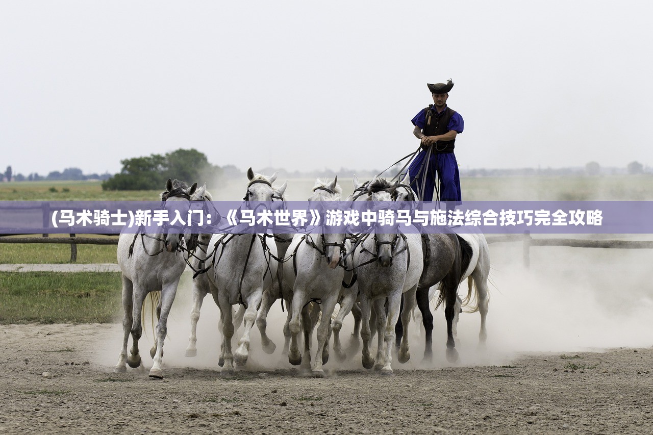新澳天天开奖资料大全181|探索生活中的细腻瞬间_冒险版Timi.1.298