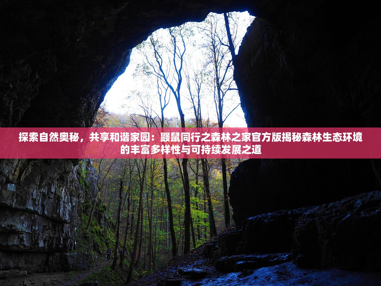 (暗区11×7mm)暗区具名，探索未知的领域