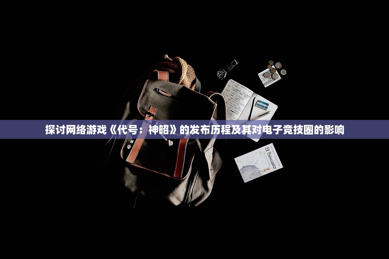 (刺客角色游戏有哪些名字)刺客角色游戏有哪些，深入探索与解析