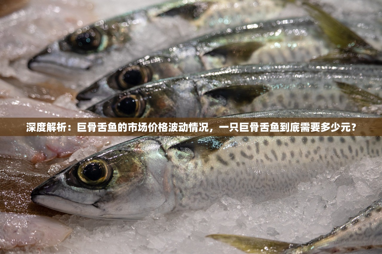 2024澳门六今晚开奖|准确资料解释落实_VIP6.527