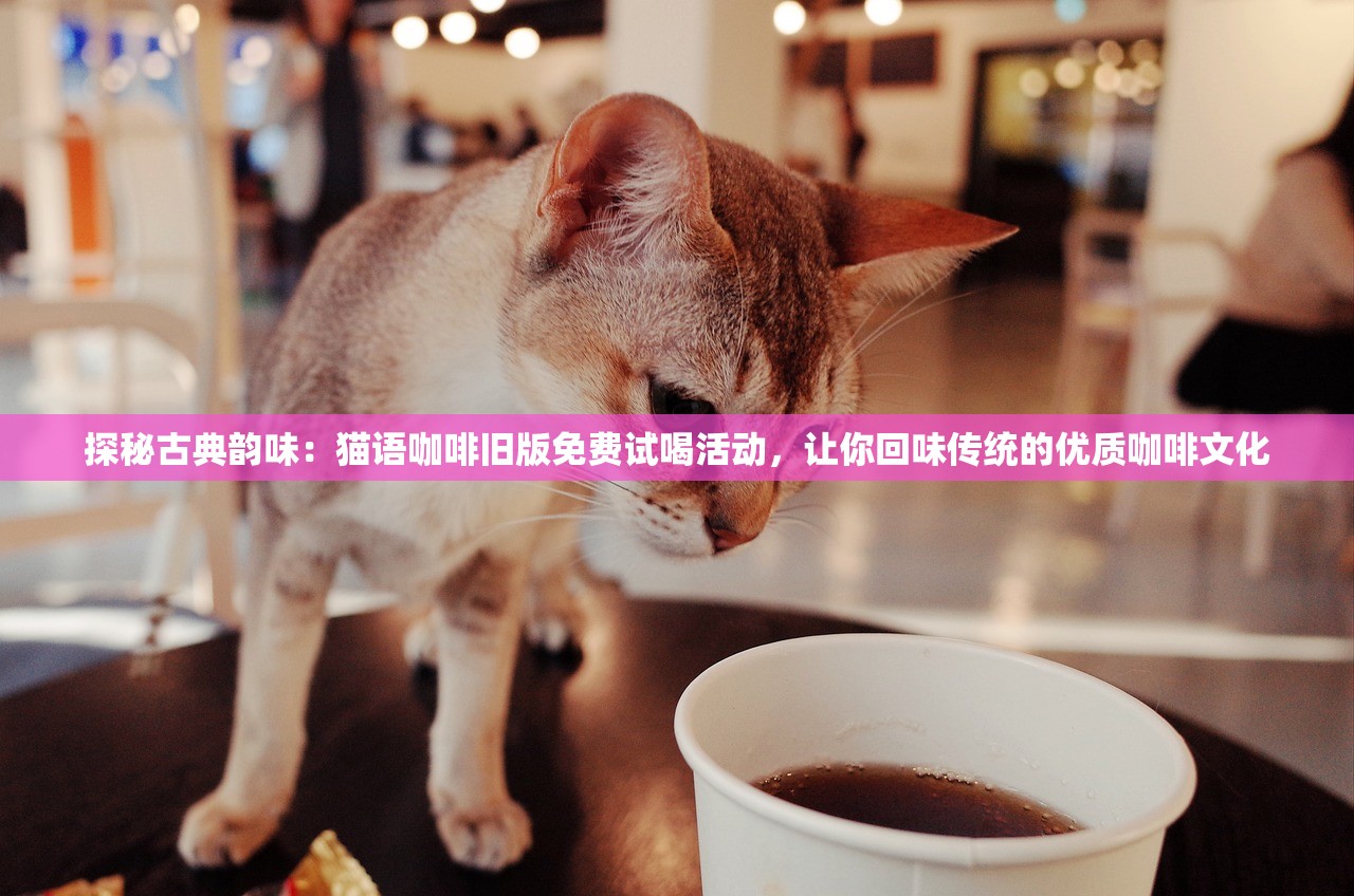 (正义荣耀礼包码)正义荣耀CDK，游戏内外的探索与挑战