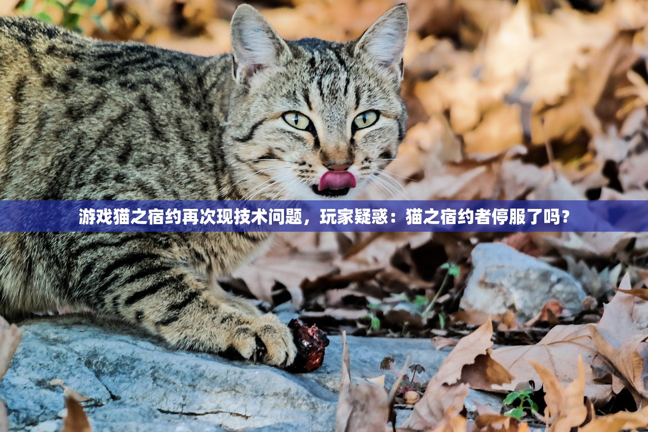 (天美三国策略游戏)镁天三国手游截图，深度解析与常见问答