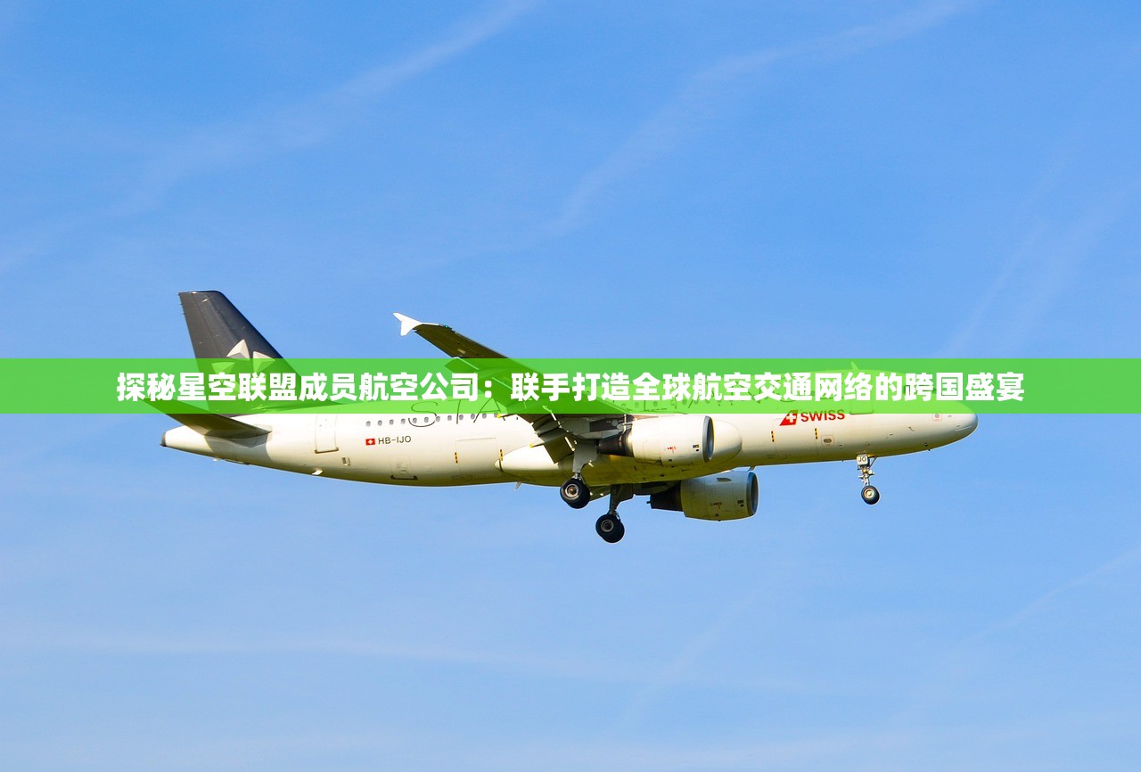 2024新奥正版资料大全|幸运之旅探索新机会_冒险版Timi.2.257