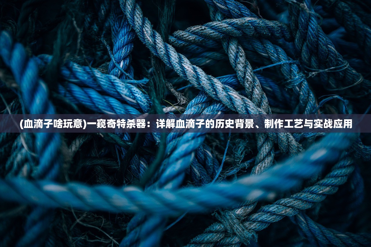 (胡莱三国2小y版下载电视)胡莱三国2，策略与战争的深度探索