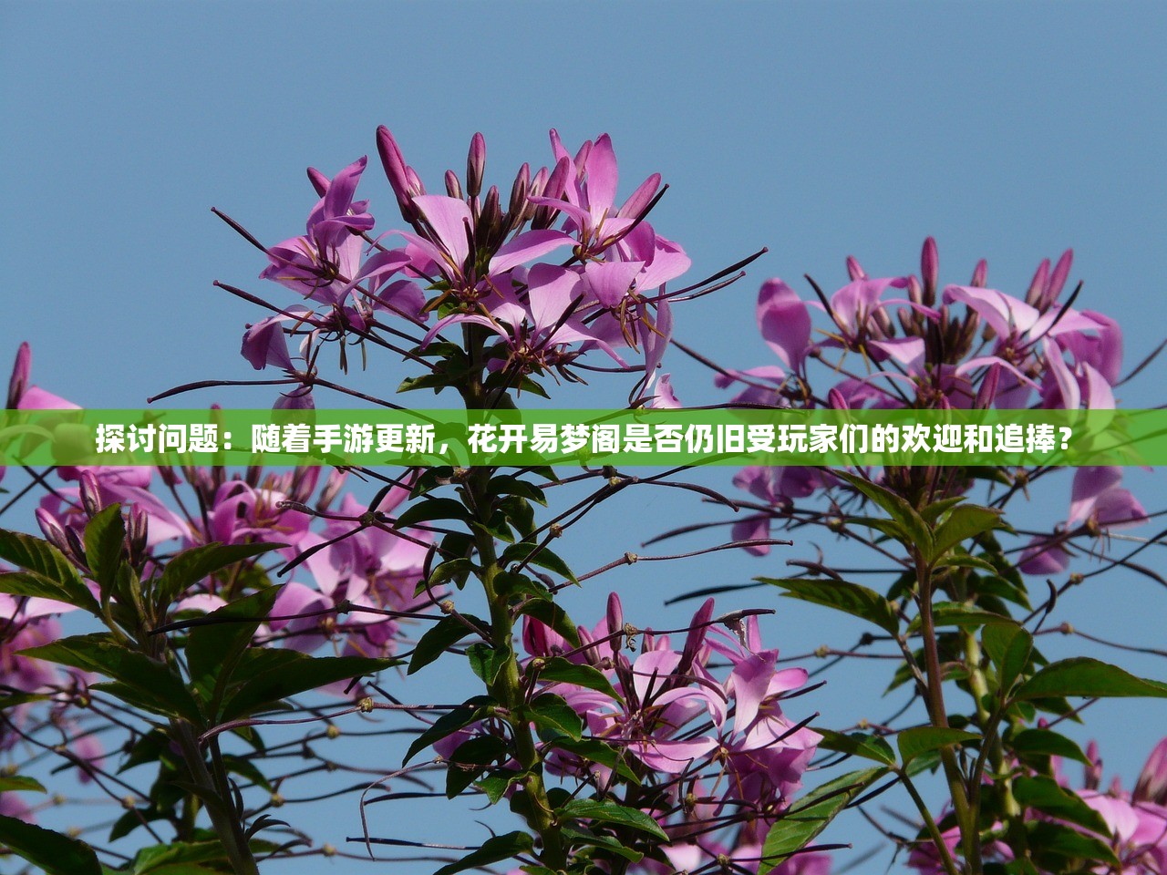 (小小西游ol改名叫什么了)小小西游ol官方网站，探索神秘的西游世界