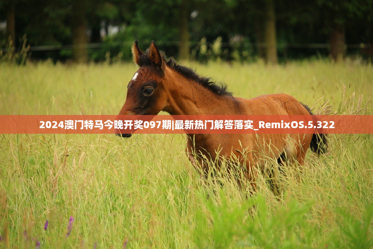 2024澳门特马今晚开奖097期|最新热门解答落实_RemixOS.5.322