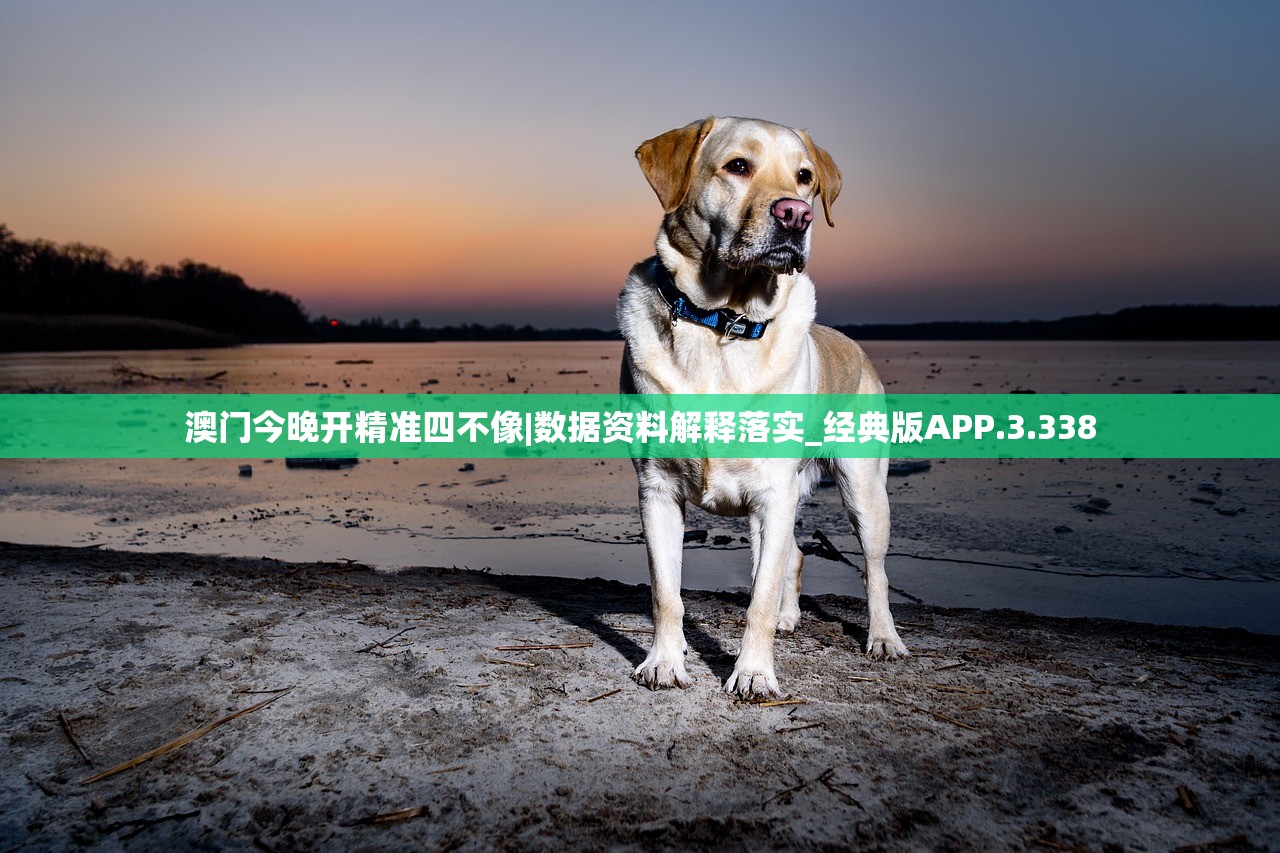 (大圣传说梦者txt百度网盘)大圣传说梦者txt,深度解析与探索 (大圣传说梦者txt百度网盘)大圣传说梦者txt,深度解析与探索