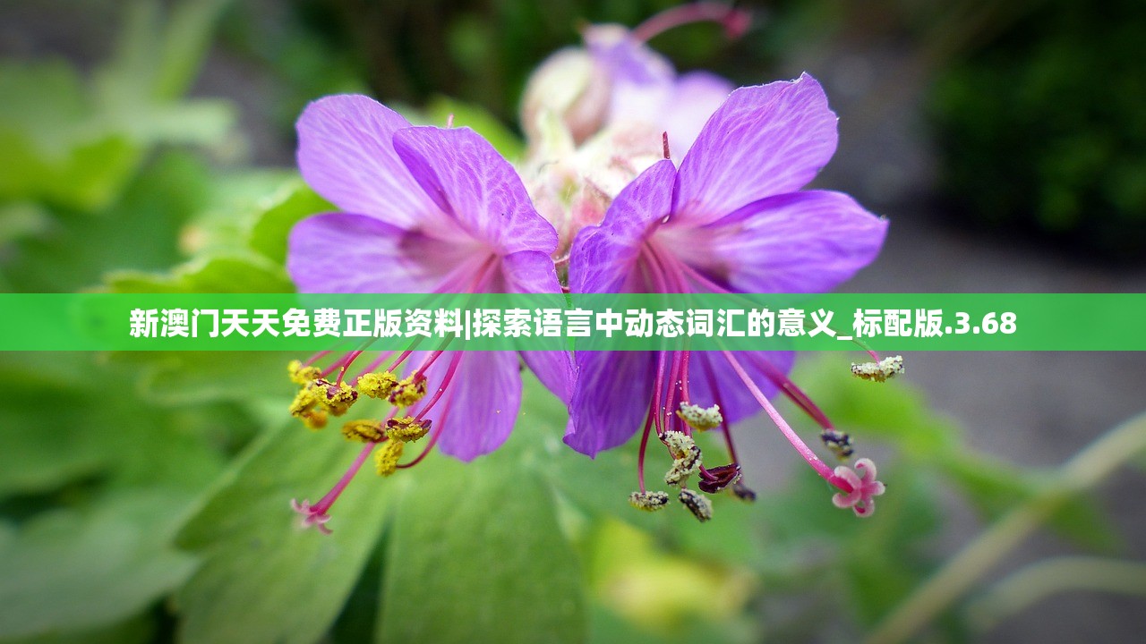 (横扫天下之万年强者攻略)横扫天下之万年强者H5激活码，游戏新纪元的大门开启