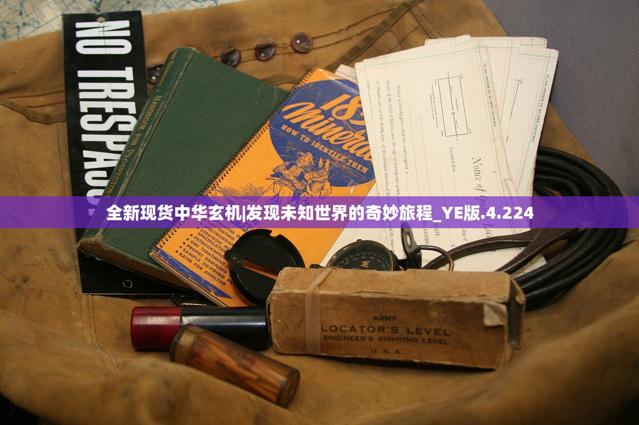 (英雄联盟手游皮肤哪里买便宜点)英雄联盟手游皮肤购买攻略，探寻最优惠的购买渠道