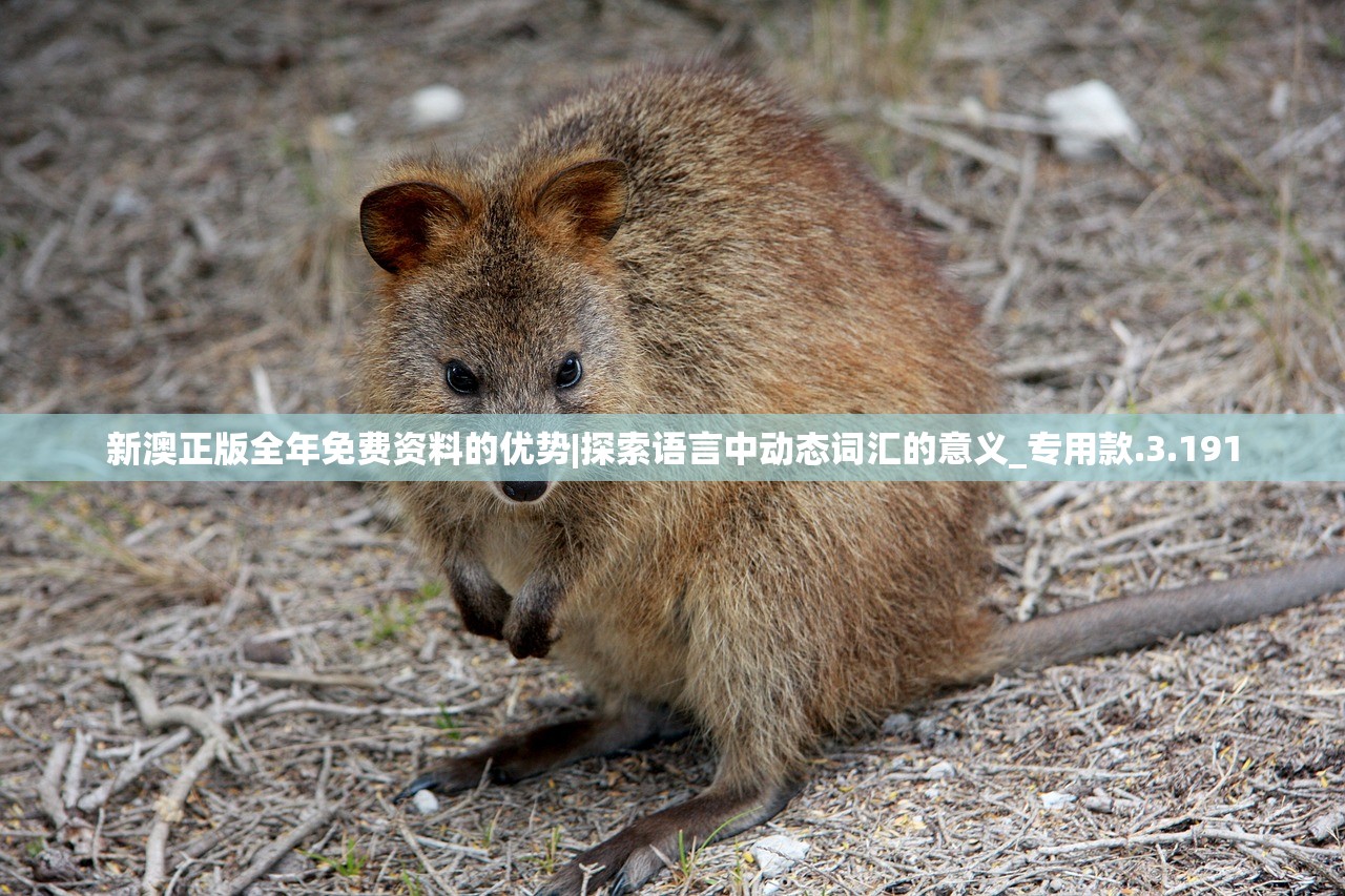 (萌幻之幻-新的起点隔壁)萌幻之幻新的起点home，探索虚拟世界的无限可能