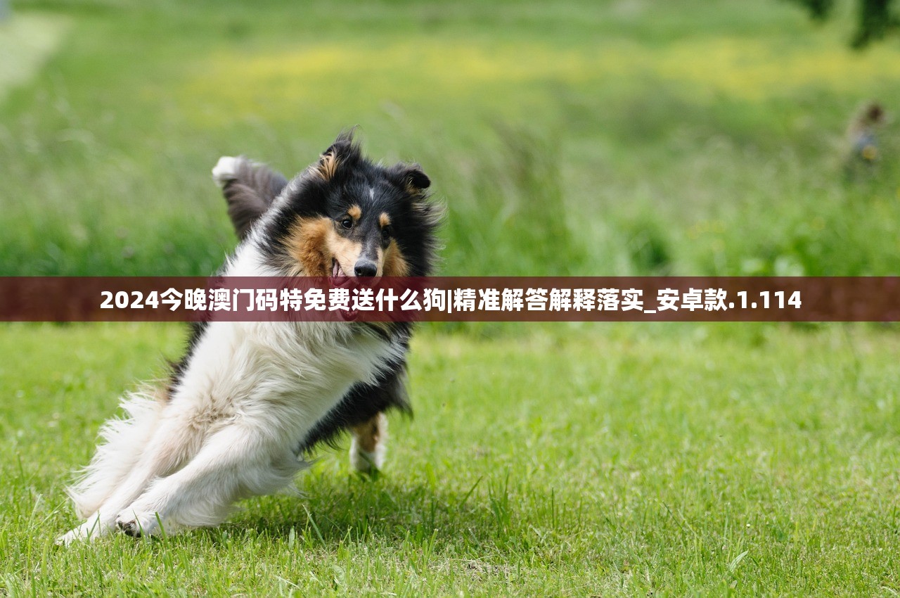 (侍魂晓夏洛特出招表)侍魂晓夏洛特，深度解析与常见问题解答
