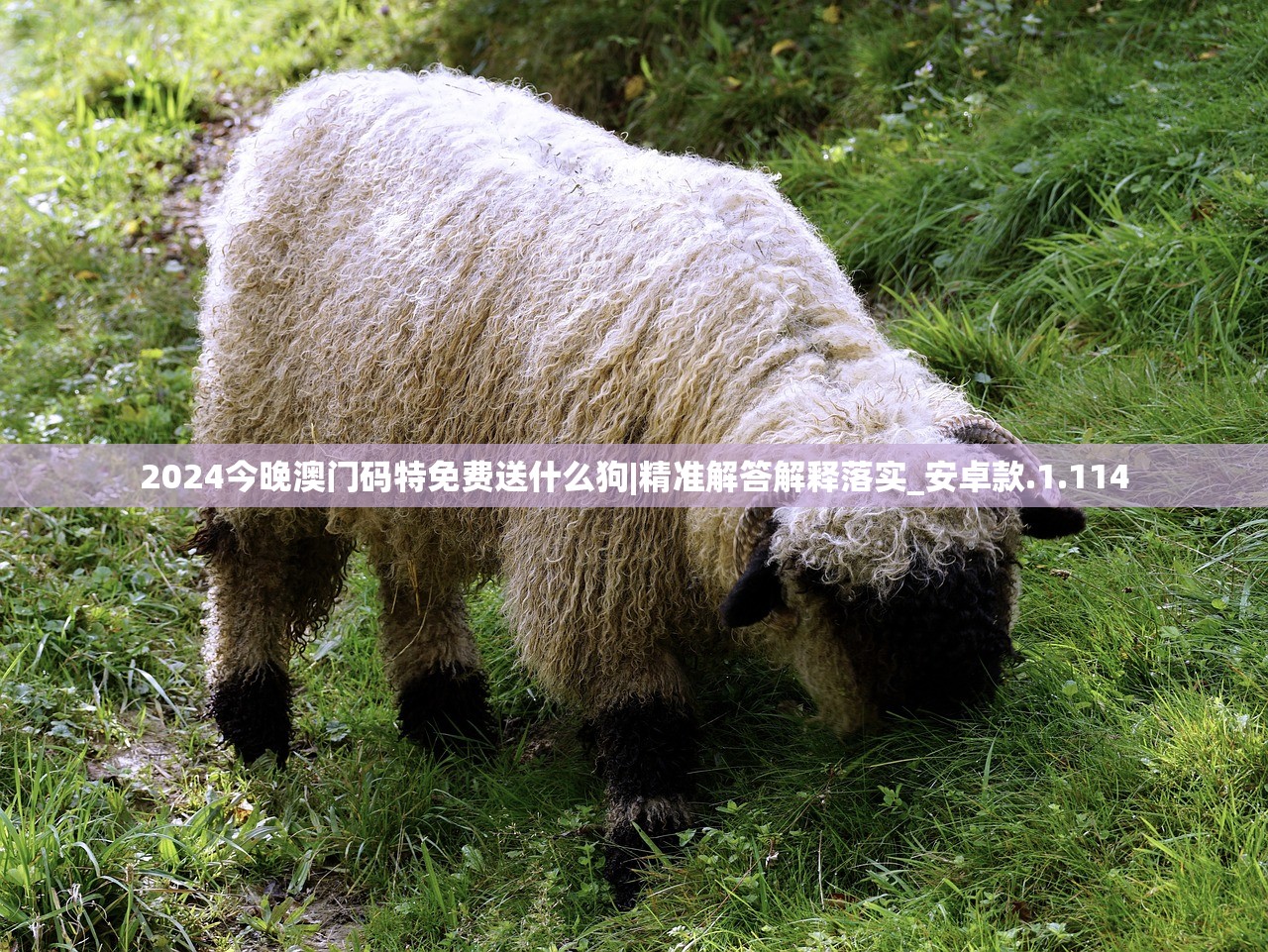 (没有命运线是什么意思)没有命运线的人，探寻命运与自由意志的交汇点