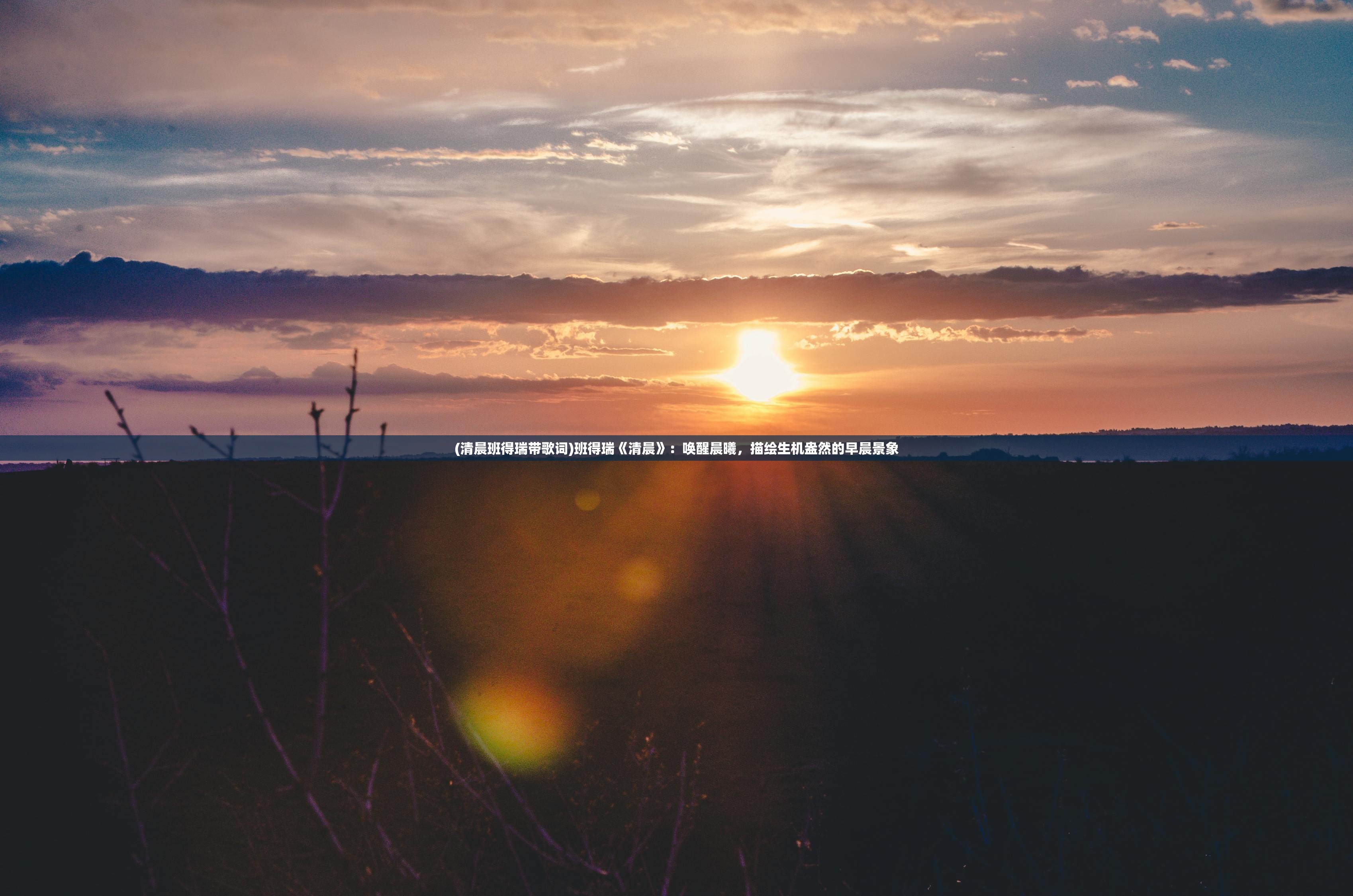 (勇者斗斗龙官网)勇者斗斗龙碗，人气旺盛还是小众独特？