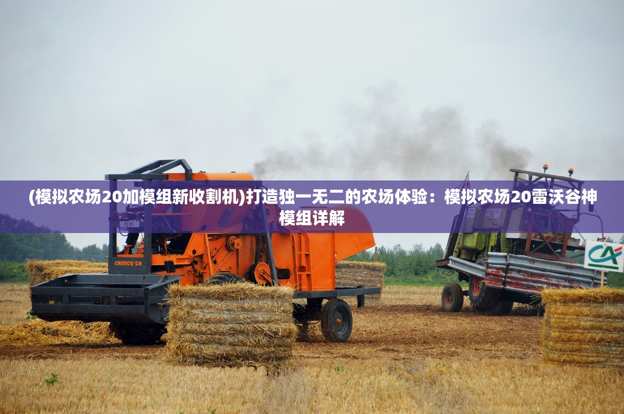 (雷霆半月斩是什么意思)雷霆半月斩下一句，破空裂界，无限可能！——探索雷霆半月斩的多元魅力与深层含义