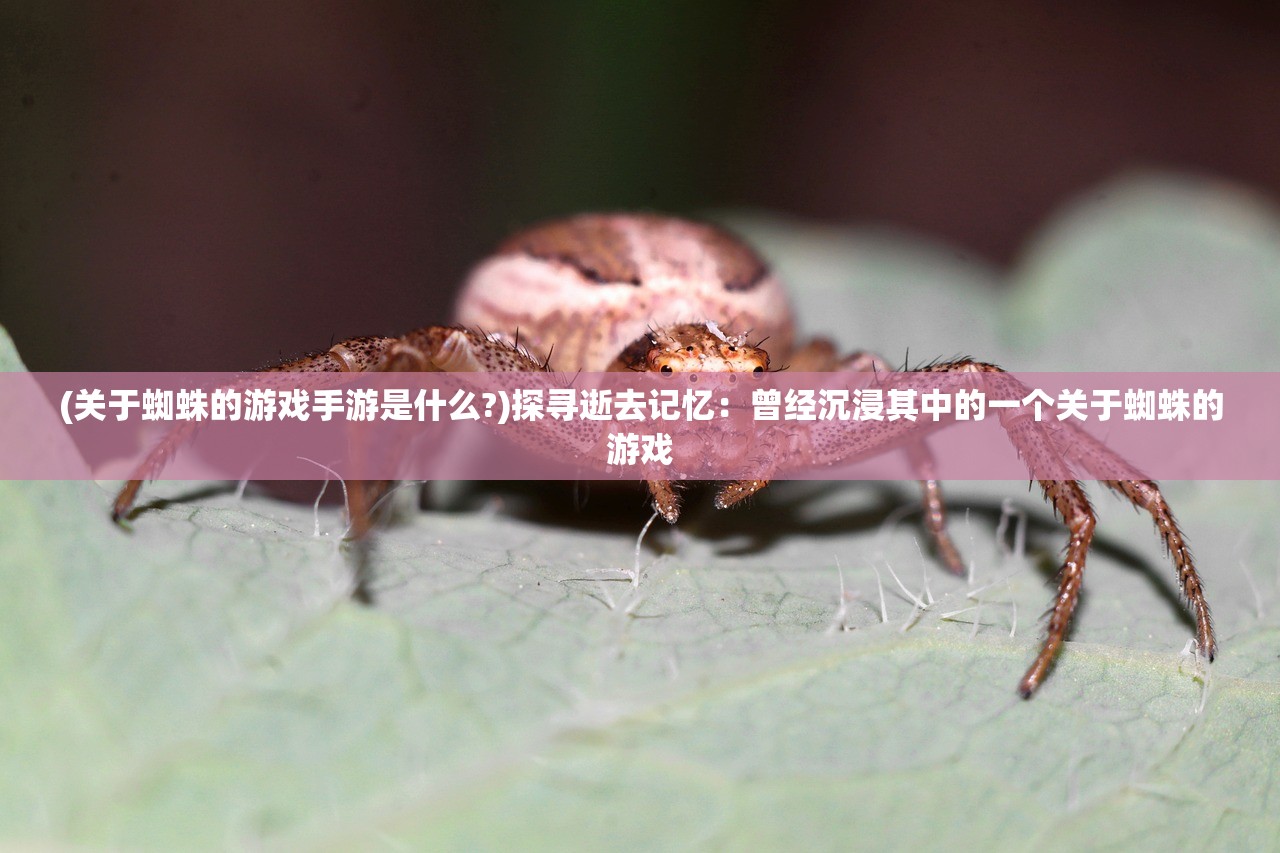 (全网公敌2第五章)全网公敌2,现象解析与深度探讨 (全网公敌2第五章)全网公敌2,现象解析与深度探讨