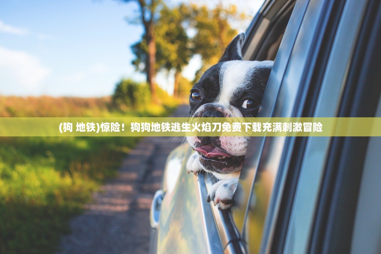 (王冠意志手游官网)王冠意志真能领手机吗？深度解析这一现象的真相