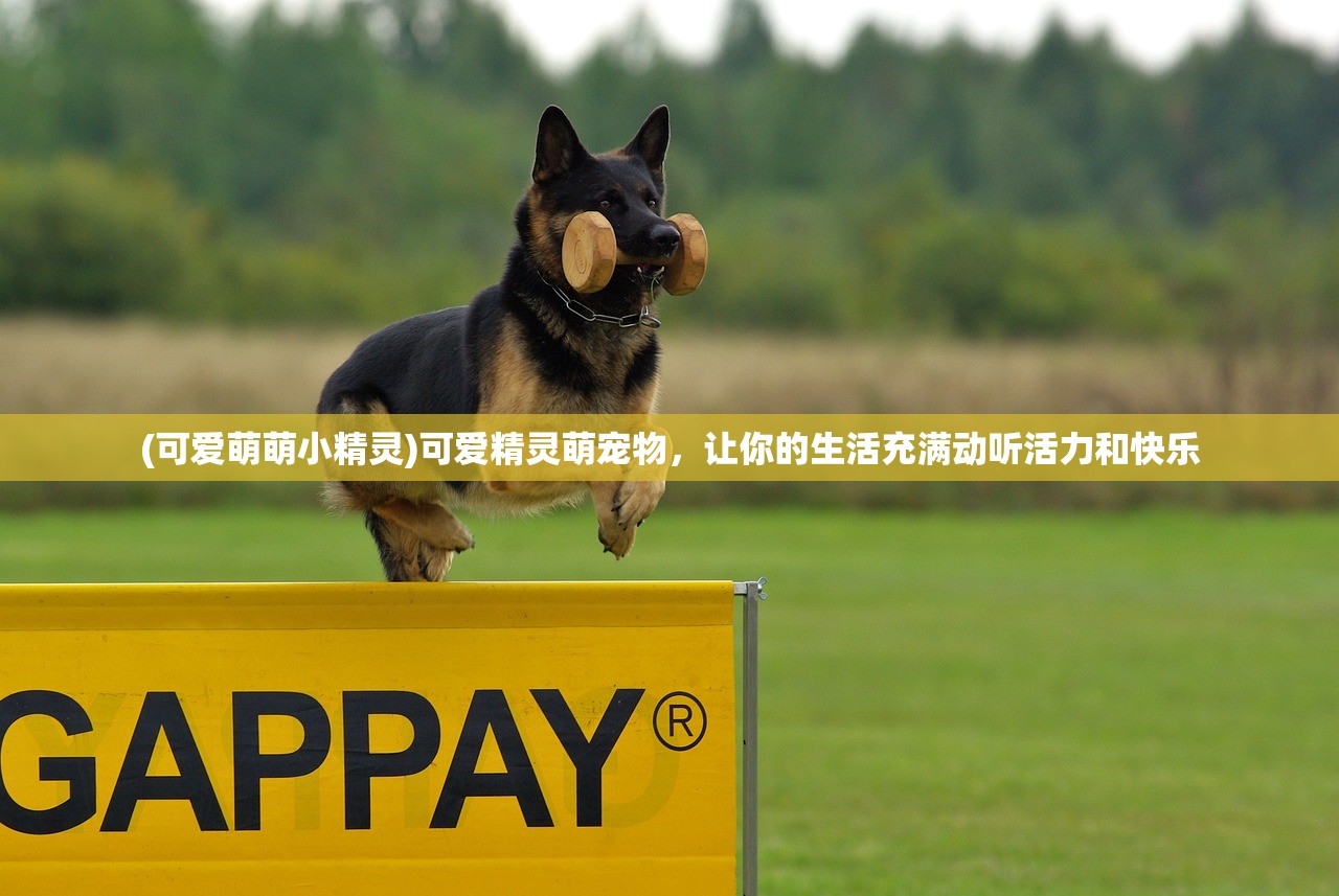 (精灵合体的动画片)精灵合体，跨界融合的魅力与探索