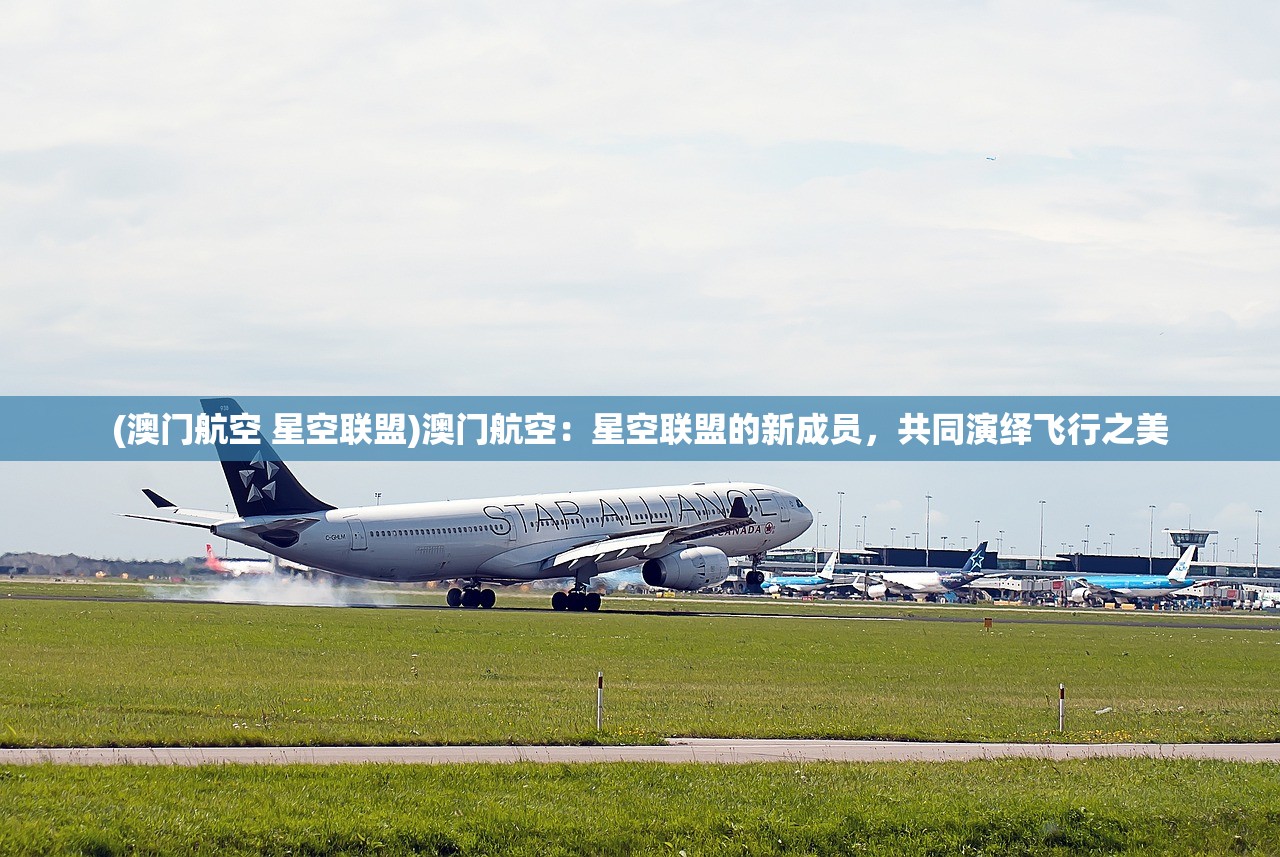 (阿拉德之怒收费最新辅助)阿拉德之怒辅助免费，游戏优化的秘密武器还是潜在风险？