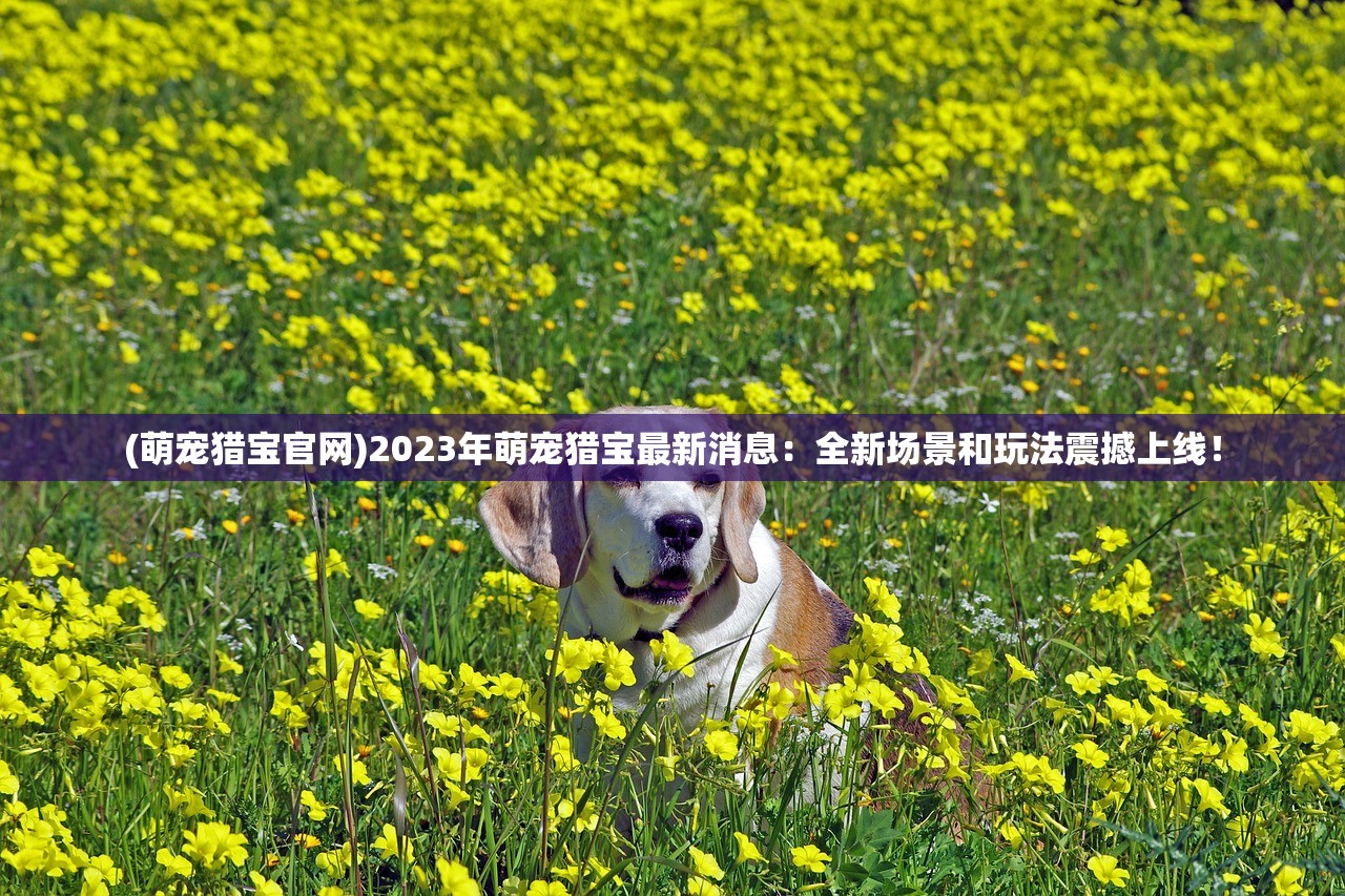 (蜀山战神微信小游戏斗图)蜀山战神微信小游戏，探索神秘仙侠世界
