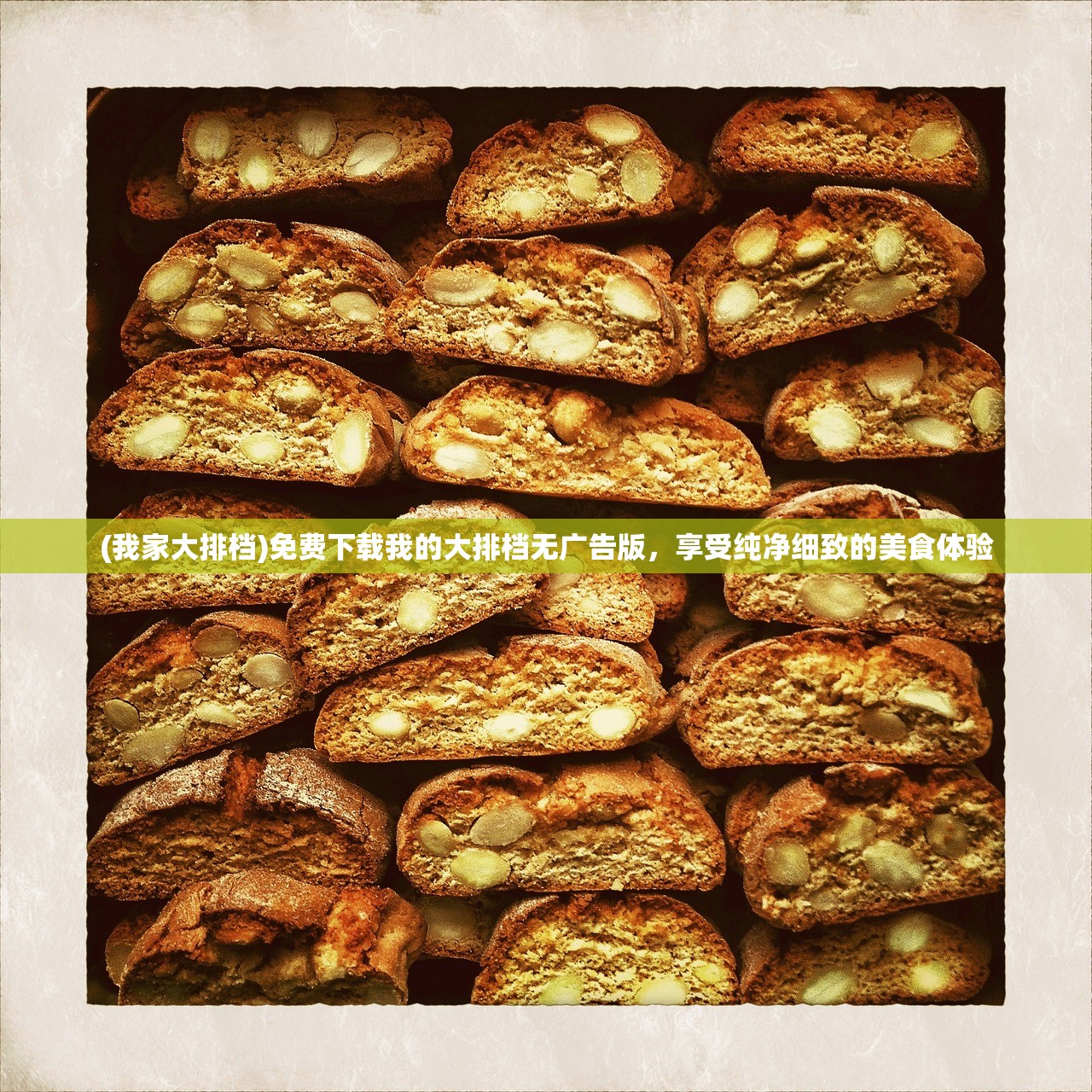 (萍城异闻录开发者是谁)萍城异闻录开发者,揭秘背后的故事与创新之路 (萍城异闻录开发者是谁)萍城异闻录开发者,揭秘背后的故事与创新之路