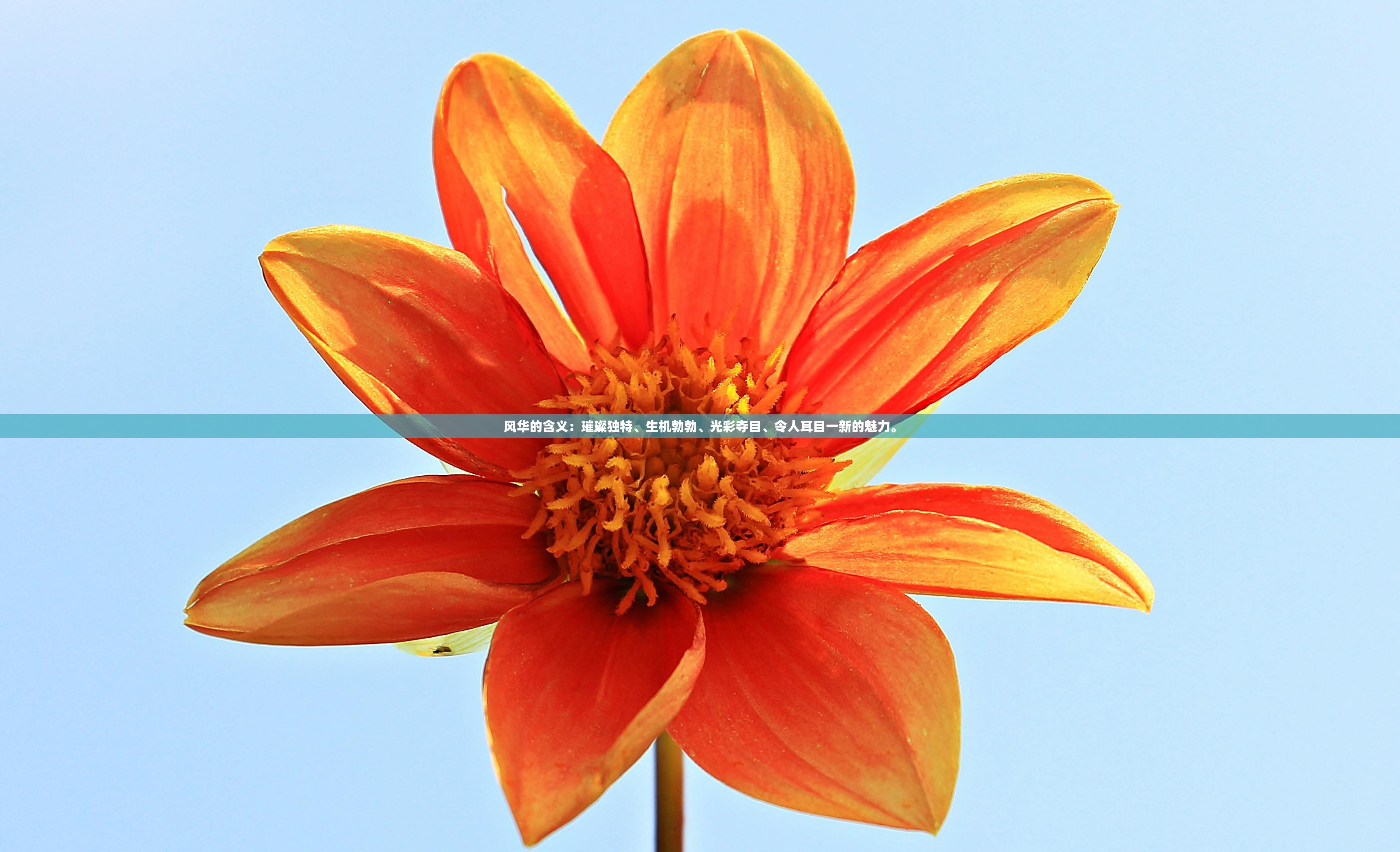 (小怪兽推车怎么折叠的)小怪兽推车折叠指南及常见问题解答