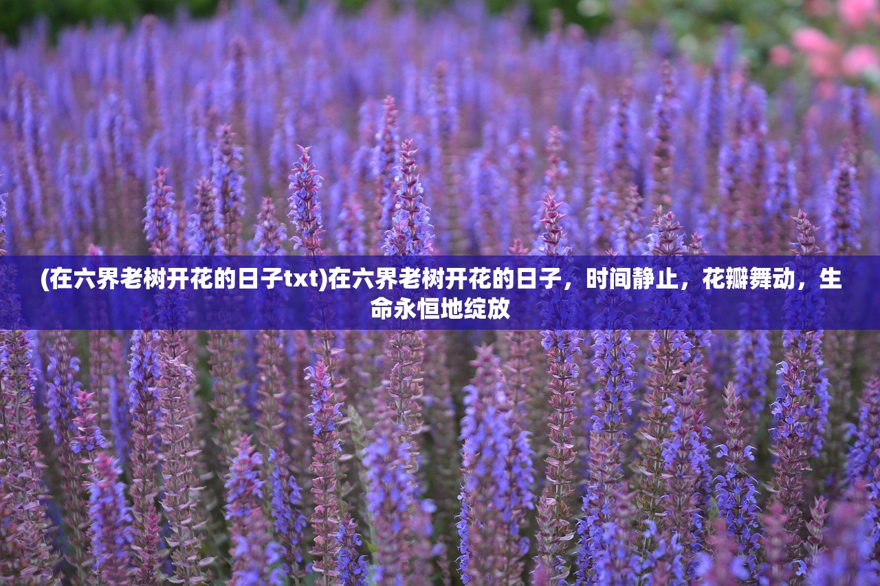 (奥库兹的冒险者手游)探究奥库兹的冒险者演员们的神秘身世和无尽传奇