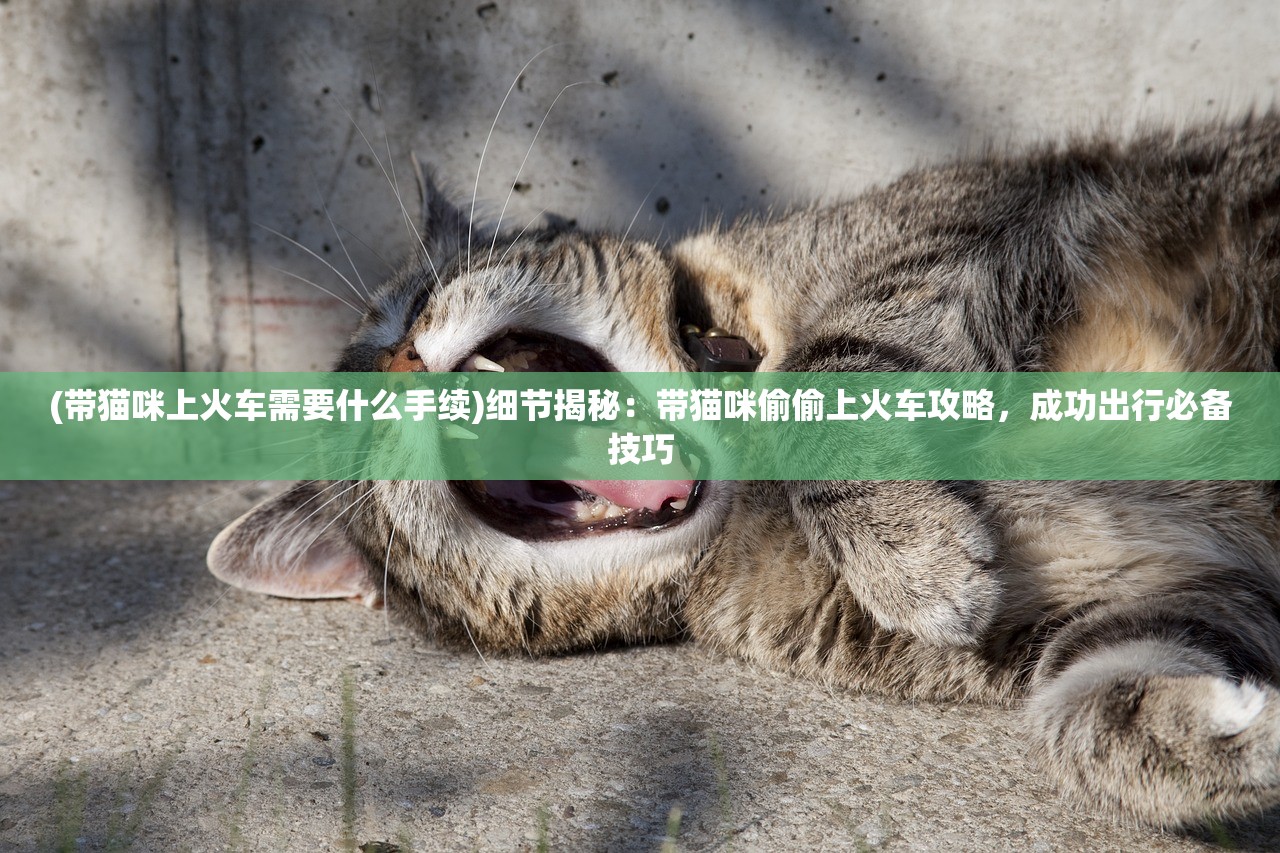 (剑与家园纹章能量入口在哪里打开)剑与家园，纹章能量入口的奥秘探索