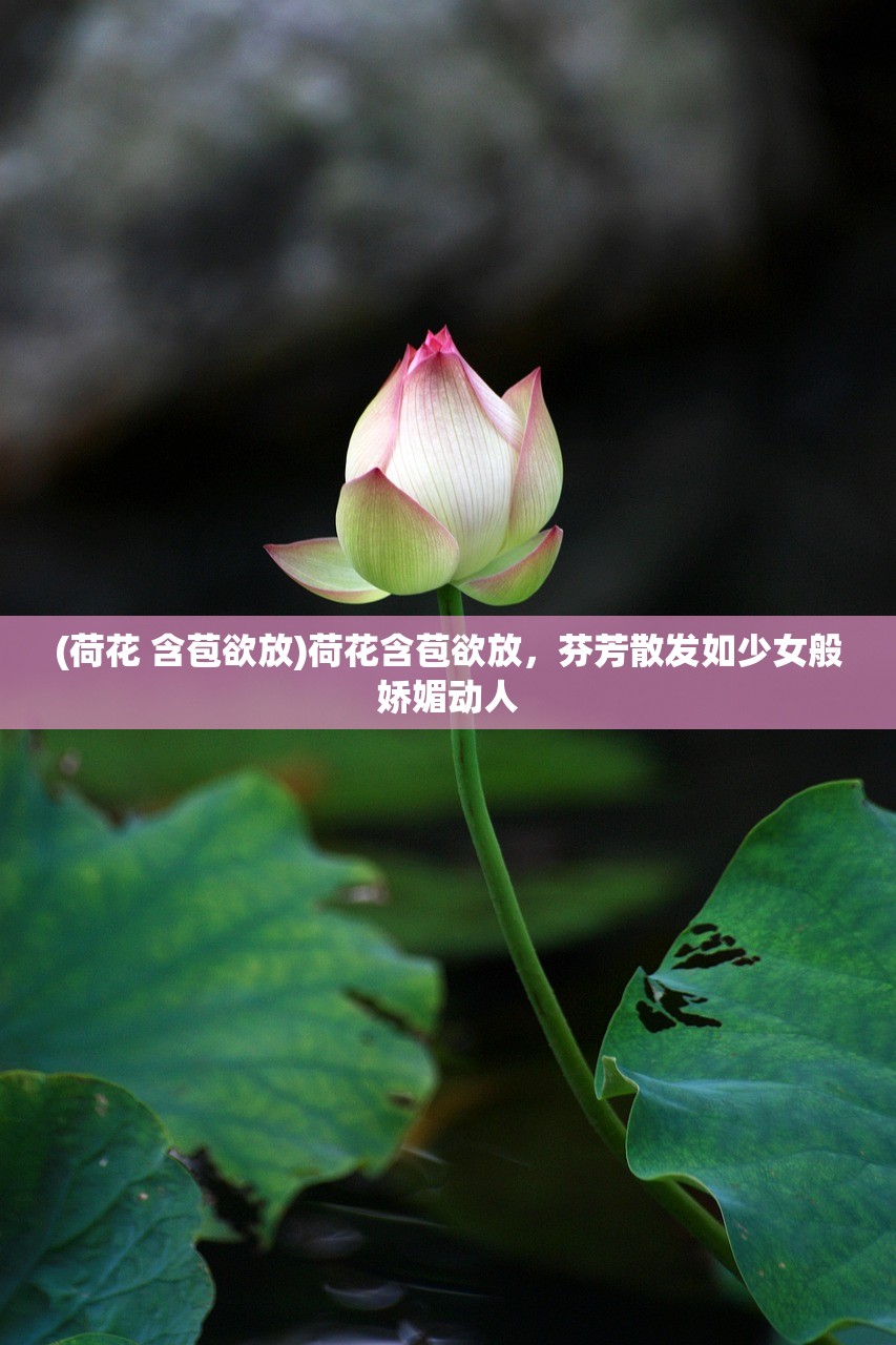 (问鼎神坛手游官网)问鼎神坛手游，探索奇幻世界的无尽魅力