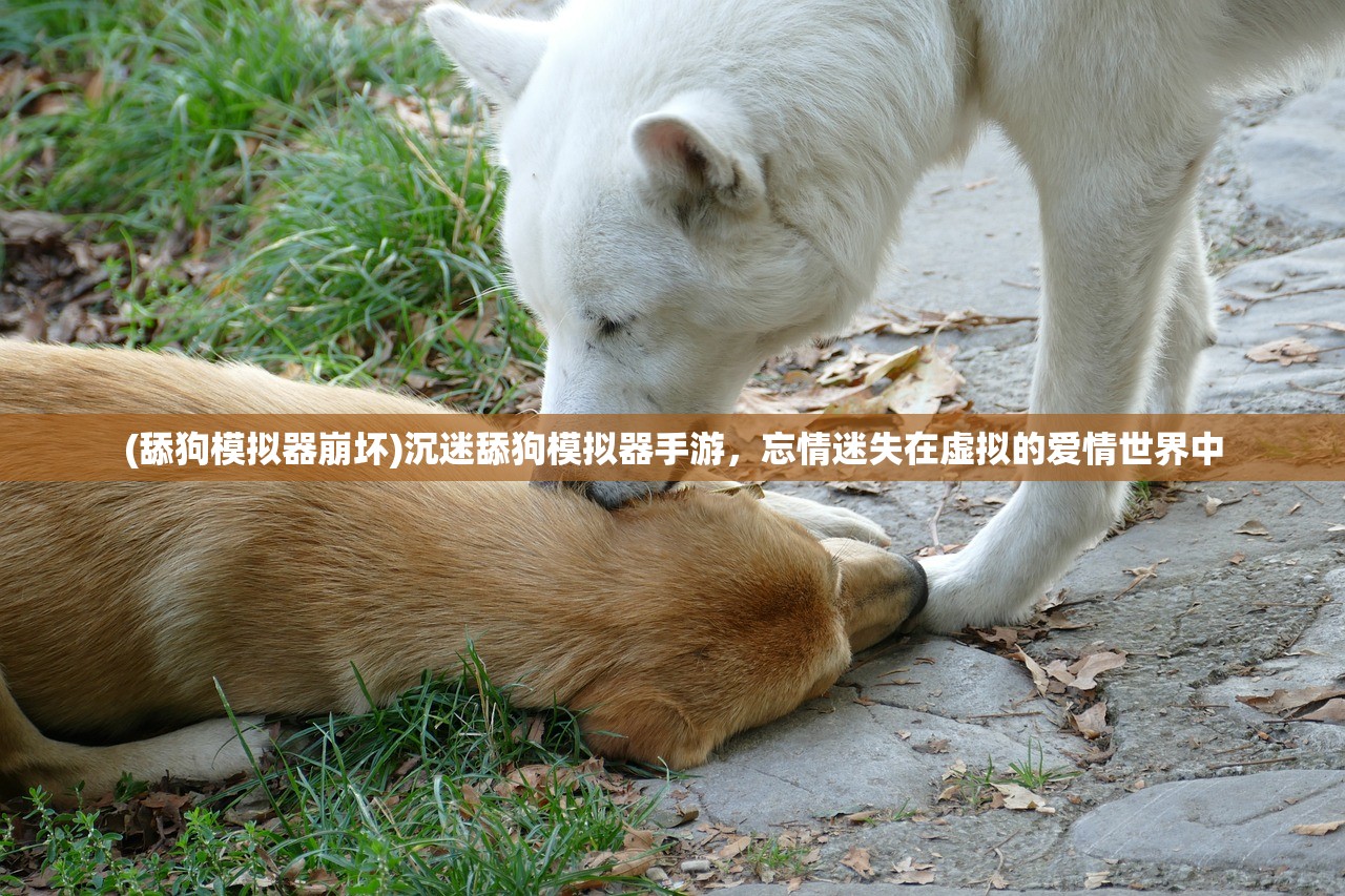 (大荒战帝 M飞扬)大荒战帝,传奇战帝的崛起与征服之路 (大荒战帝 M飞扬)大荒战帝,传奇战帝的崛起与征服之路