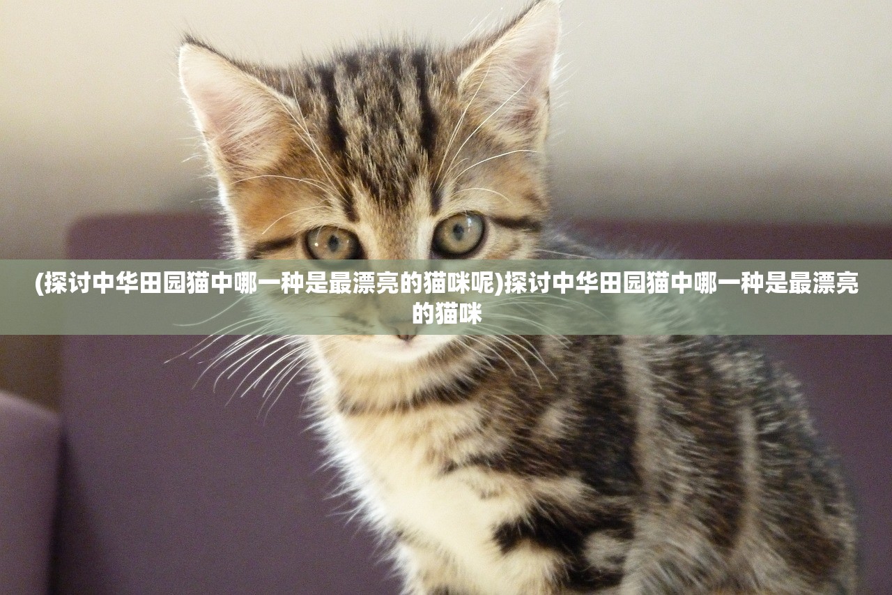 (最后的勇士2在线观看免费高清国语)最后的勇士2，热血归来的传奇故事