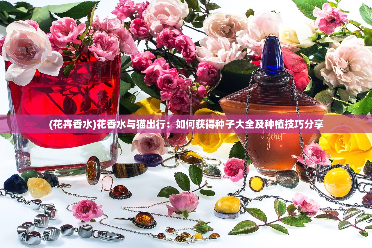 (代号sog国际服)代号SCAP国际服,游戏初探与常见问题解答 (代号sog国际服)代号SCAP国际服,游戏初探与常见问题解答