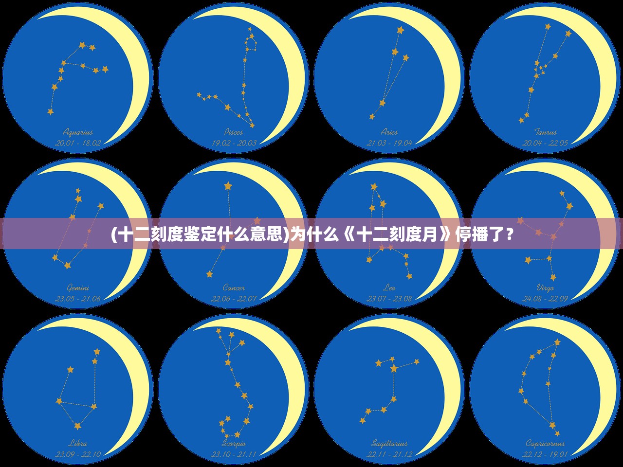 (驯龙世界邀请码是什么)驯龙世界，探索神秘龙族传说与奇幻冒险之旅的交融