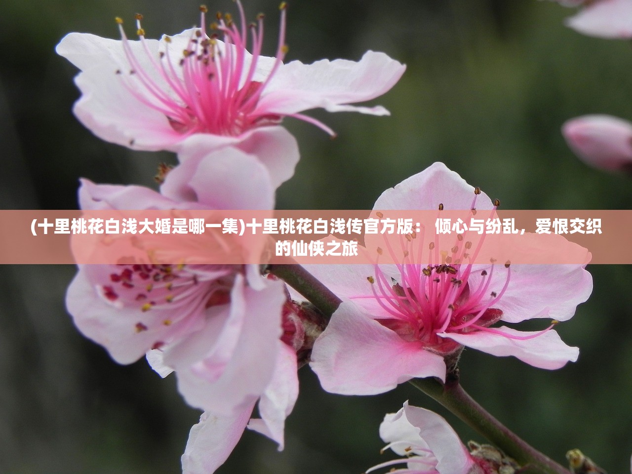 (龙骑战歌为啥下架了啊)龙骑战歌下架原因深度解析