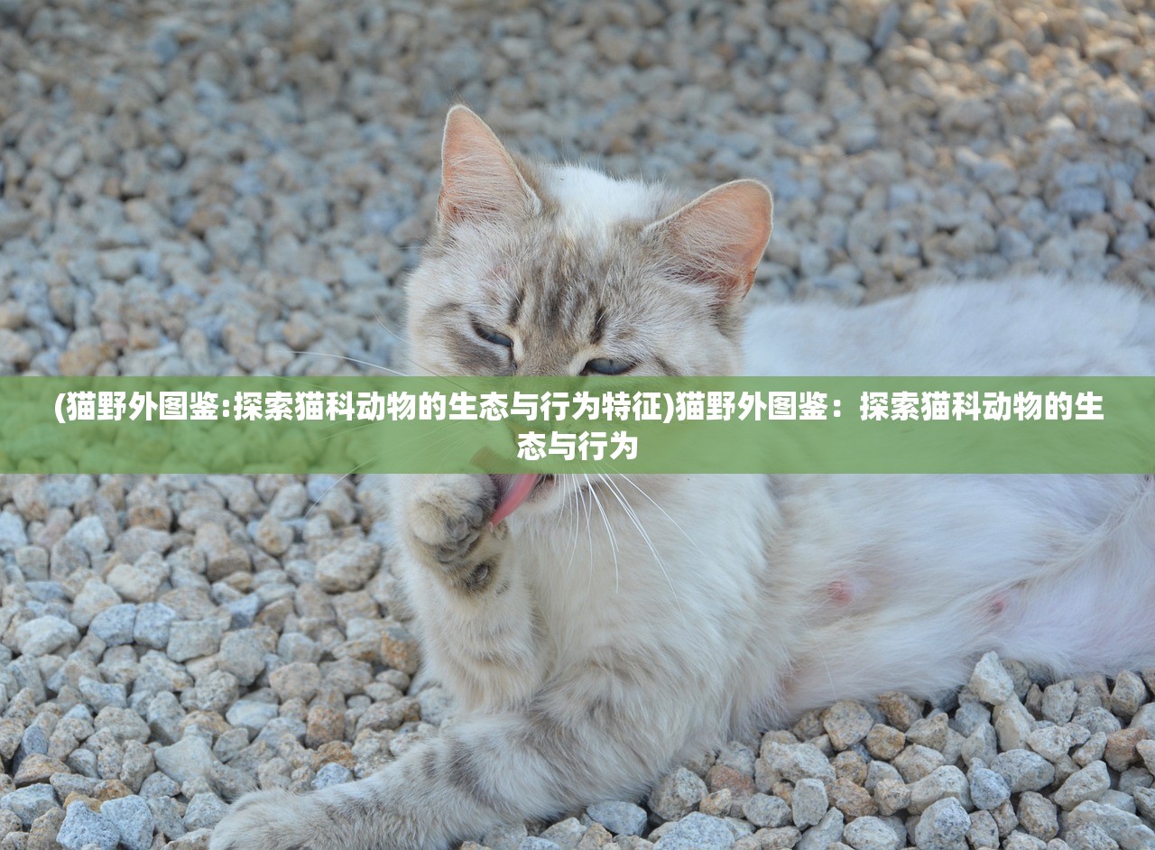 (次元封神录哪些武将值得培养)易次元封神录全面攻略，从入门到精通