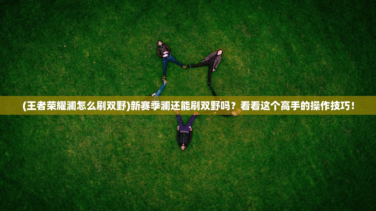 (大燕王妃游戏攻略全文)大燕王妃游戏攻略详解及常见问答解答