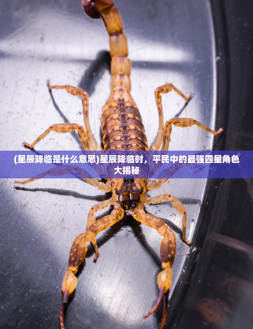 (九天伏魔录攻略)九天伏魔录，古老传说与现代演绎的完美结合