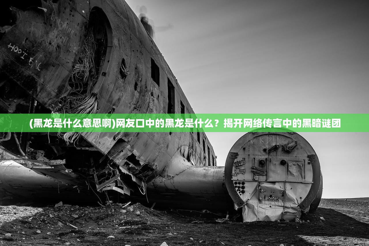 (星志愿app)星客志愿，真人NPC的新浪潮探索