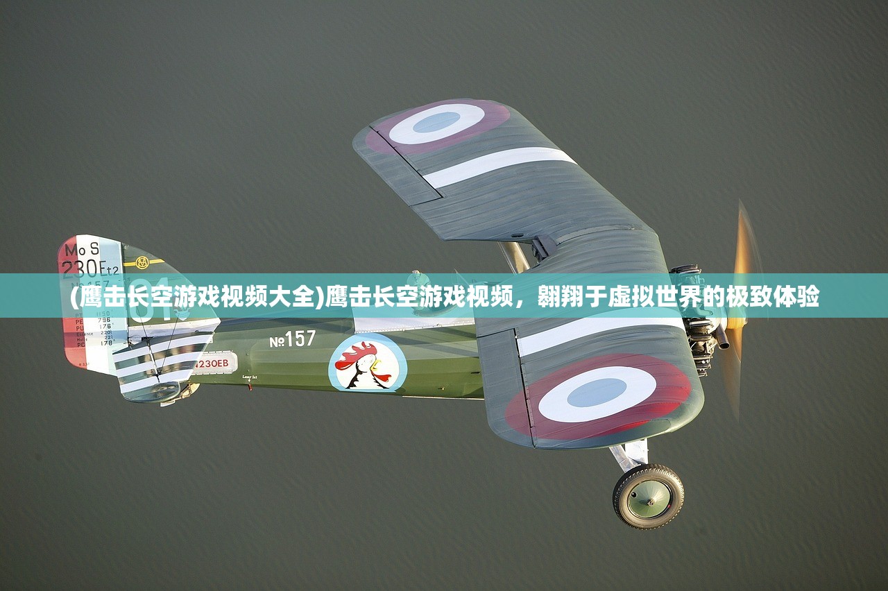(街头霸王攻略)霸王1游戏攻略大全，从入门到精通