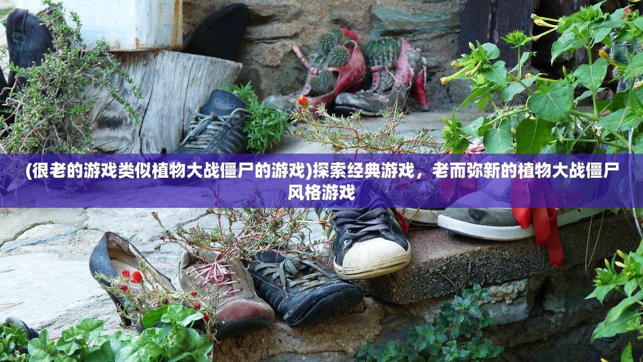 (急急如律令什么意思代表什么生肖)急急如律令什么意思，古老咒语与神秘力量的解读