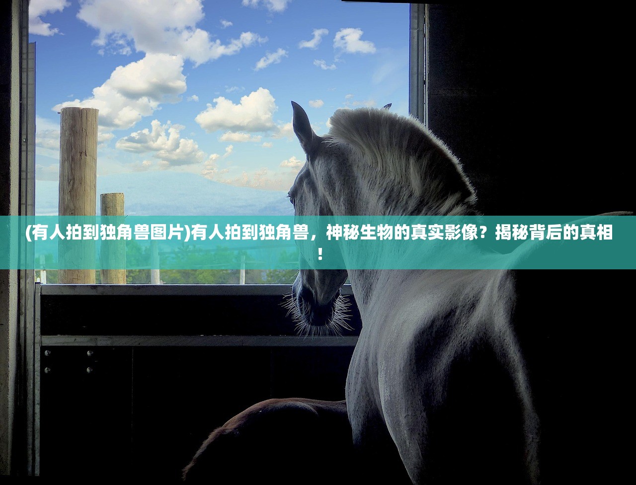 (伏妖绘卷GM等级费用)伏妖绘卷GM，游戏背景、特色内容与玩家关注焦点解析