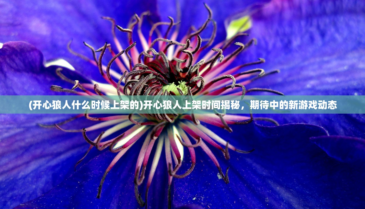 (萌战无双下架)萌战无双,游戏现状解析与玩家体验探讨 (萌战无双下架)萌战无双,游戏现状解析与玩家体验探讨