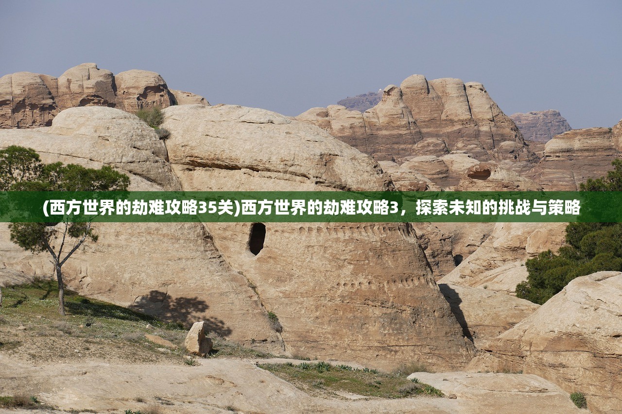 (小小五千年更换主将)小小五千年更换主帅的步骤与策略